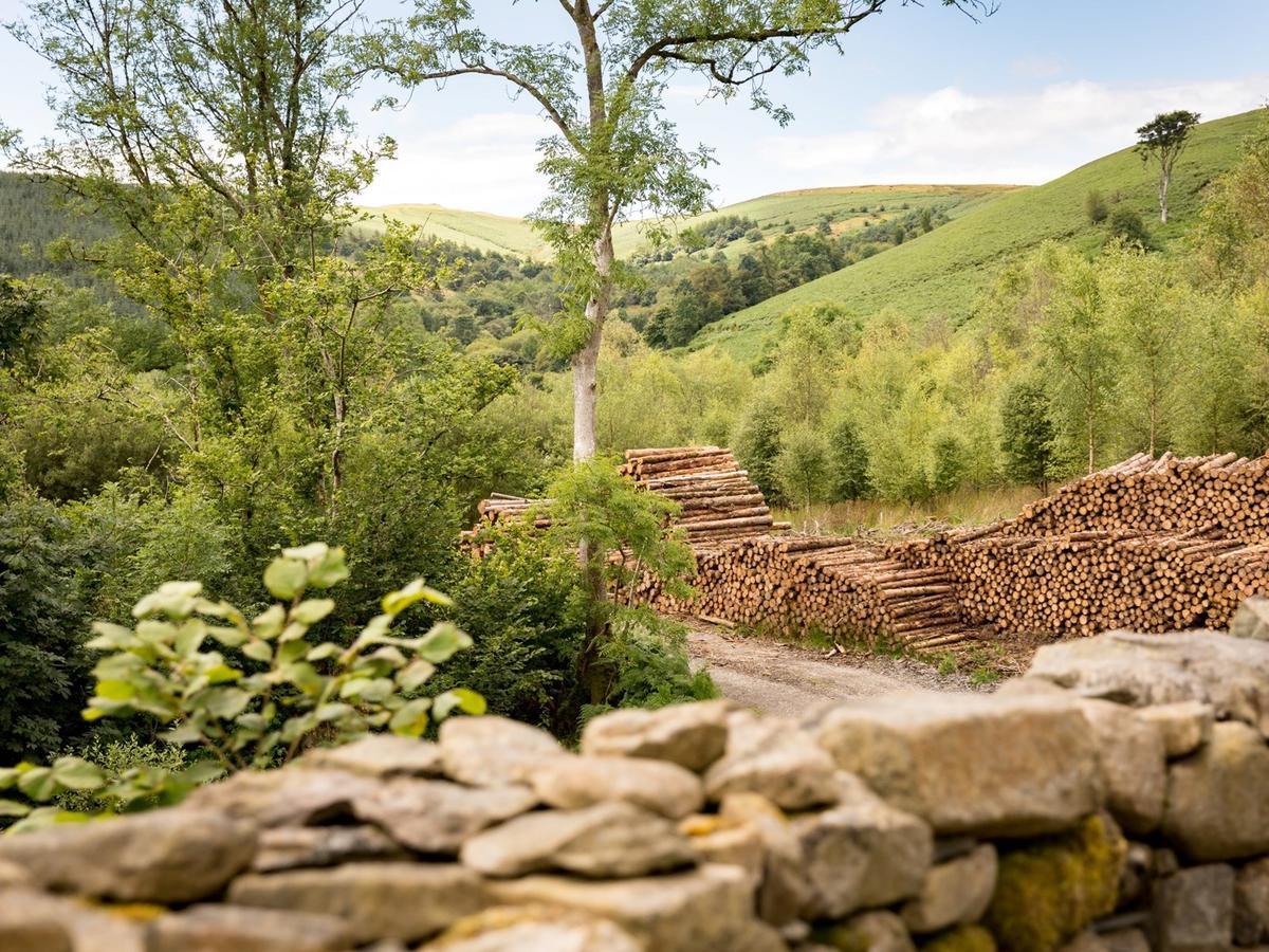 Newbridge on Wye Red Kite Barn - Charming Boutique Barn Conversion المظهر الخارجي الصورة